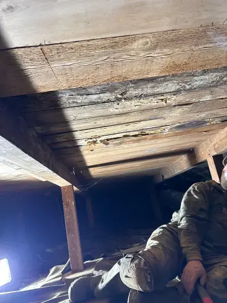 Subfloor & Floor Joist Repair