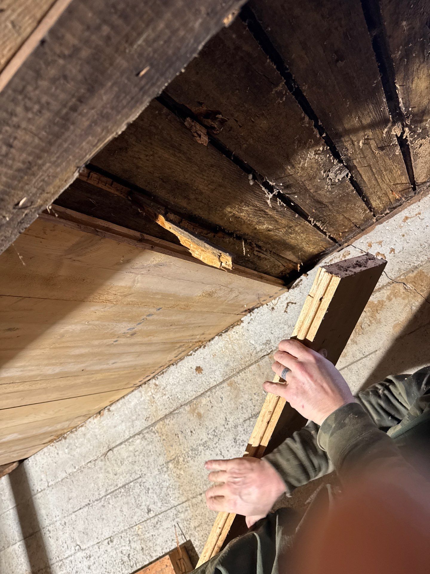 Crawlspace Floor System Framing Repair